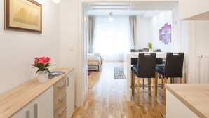 Studiolejlighed (0 Bedroom) | Privat køkken | Køleskab, ovn, kogeplade, elkedel