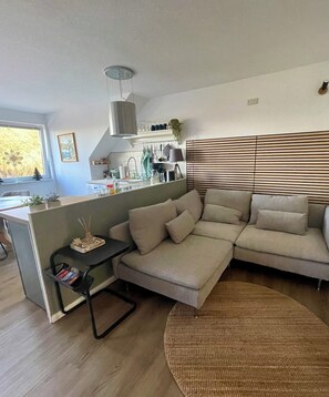 Älytelevisio, DVD-soitin, kirjoja, videokirjasto