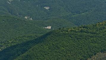 A mountainous landscape with dense forest and a small building in the distance.