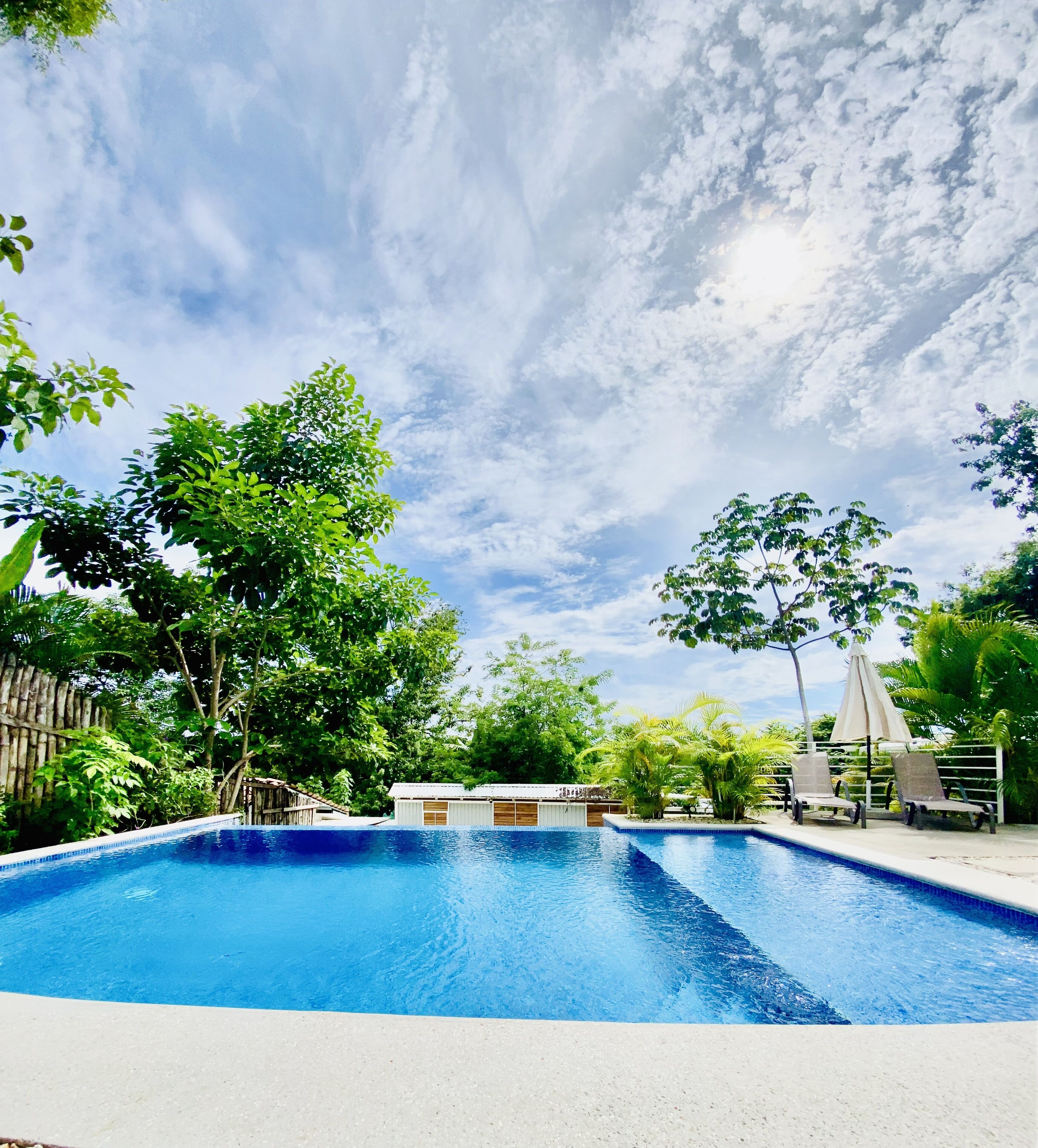 A rectangular swimming pool with clear blue water, surrounded by lush greenery and trees.