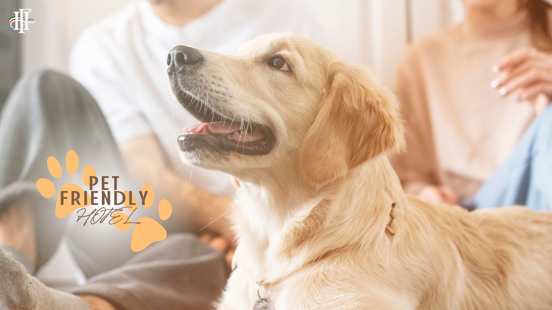 pet-friendly amenities