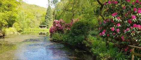 Cottage | Property grounds