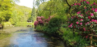 Davy Cottage in the Countryside With Horse Riding
