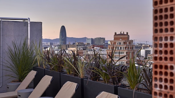 Terraza en la azotea con sillones de descanso y plantas en macetas, con vistas a un paisaje urbano con diversos edificios y una montaña al fondo.