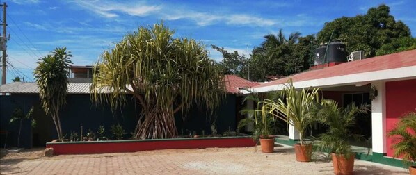 Front of property - Nopalero Hostel (Puerto Escondido)