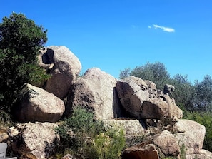 Explore a serene natural landscape featuring a unique rock formation and lush surroundings.