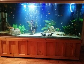 Nicht klassifiziertes Bild, 4 von 8, Schaltfläche