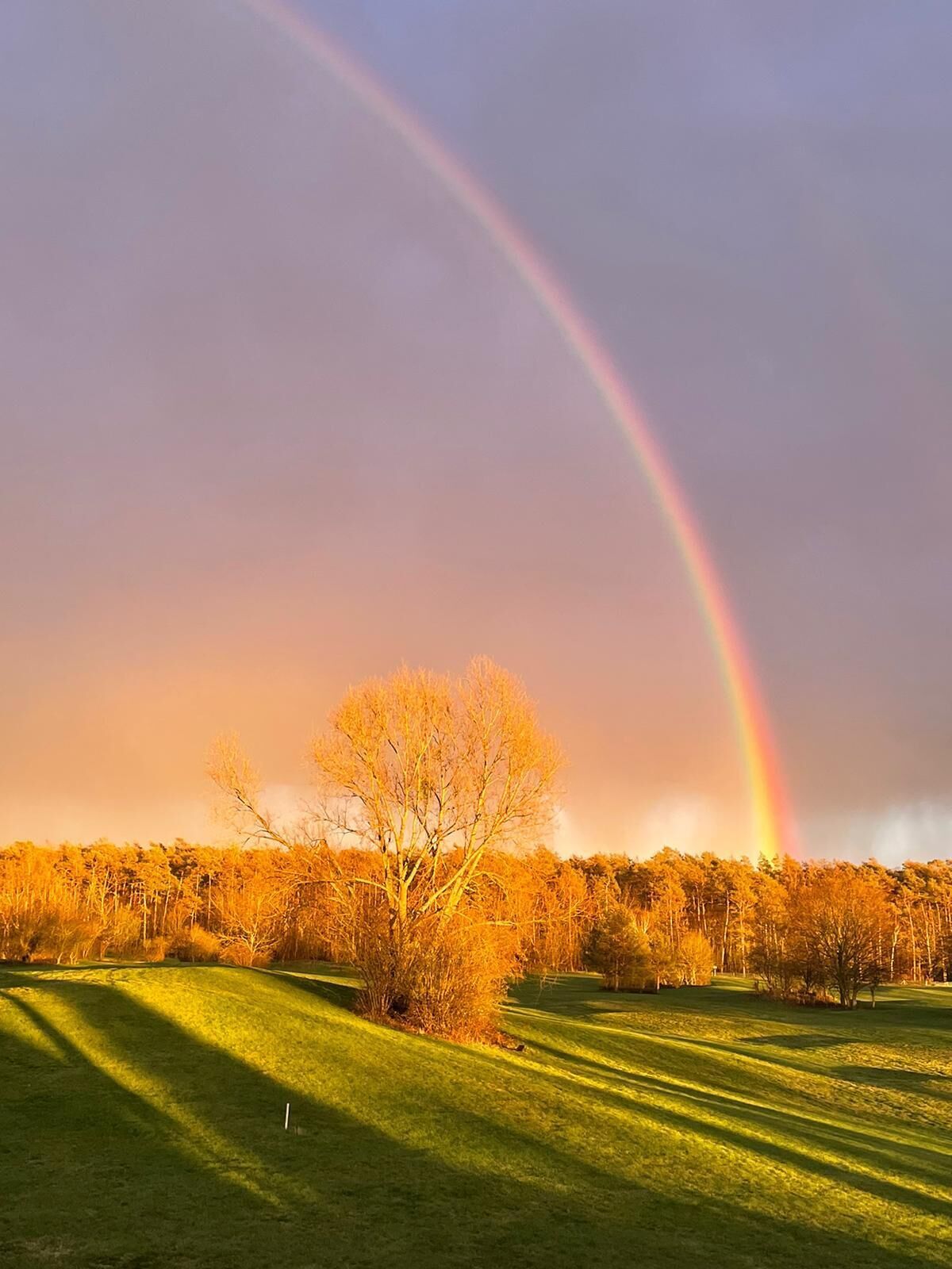 Un campo da golf con un arcobaleno nel cielo.