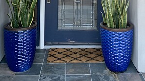 A modern entrance with a dark-colored door, two large potted plants, and a textured doormat. - Elegant West Side Mountain Retreat (Tucson)