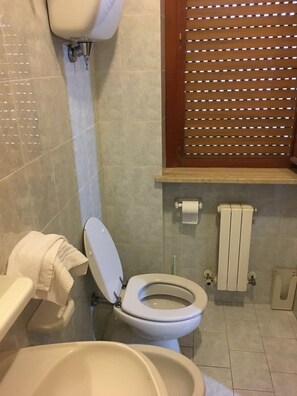 Shower, bidet, towels, soap