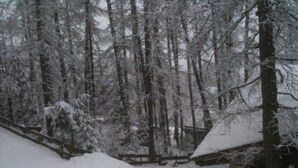 A snow-covered landscape with a wooden fence and trees.