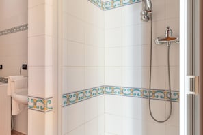 Shower, hair dryer, bidet, towels