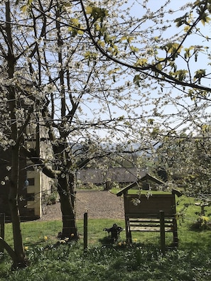 Garden - Winkston Courtyard Cottages (Peebles)