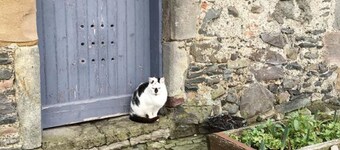 Winkston Courtyard Cottages