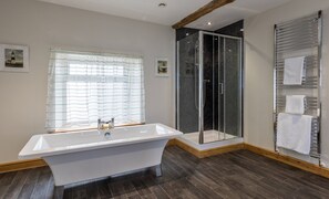 Executive Suite | Bathroom | Free toiletries, hair dryer, towels, soap