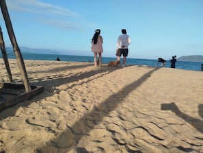 A sandy beach with a clear sky, a few people, and a dog.