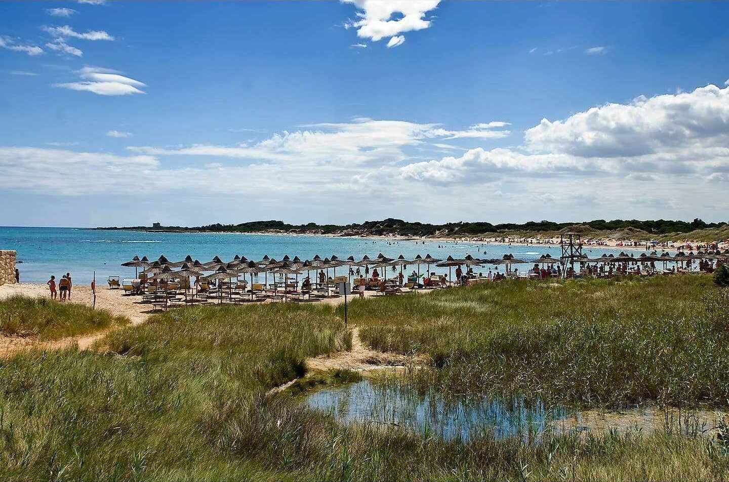 In Strandnähe, Liegestühle