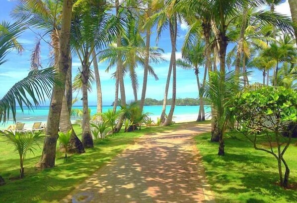 Property grounds - Turtle Lagoon Beach (Las Terrenas)