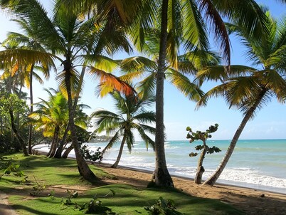 Turtle Lagoon Beach