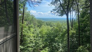 Paesaggio boschivo con vista attraverso una finestra, caratterizzato da alberi alti e un orizzonte lontano.