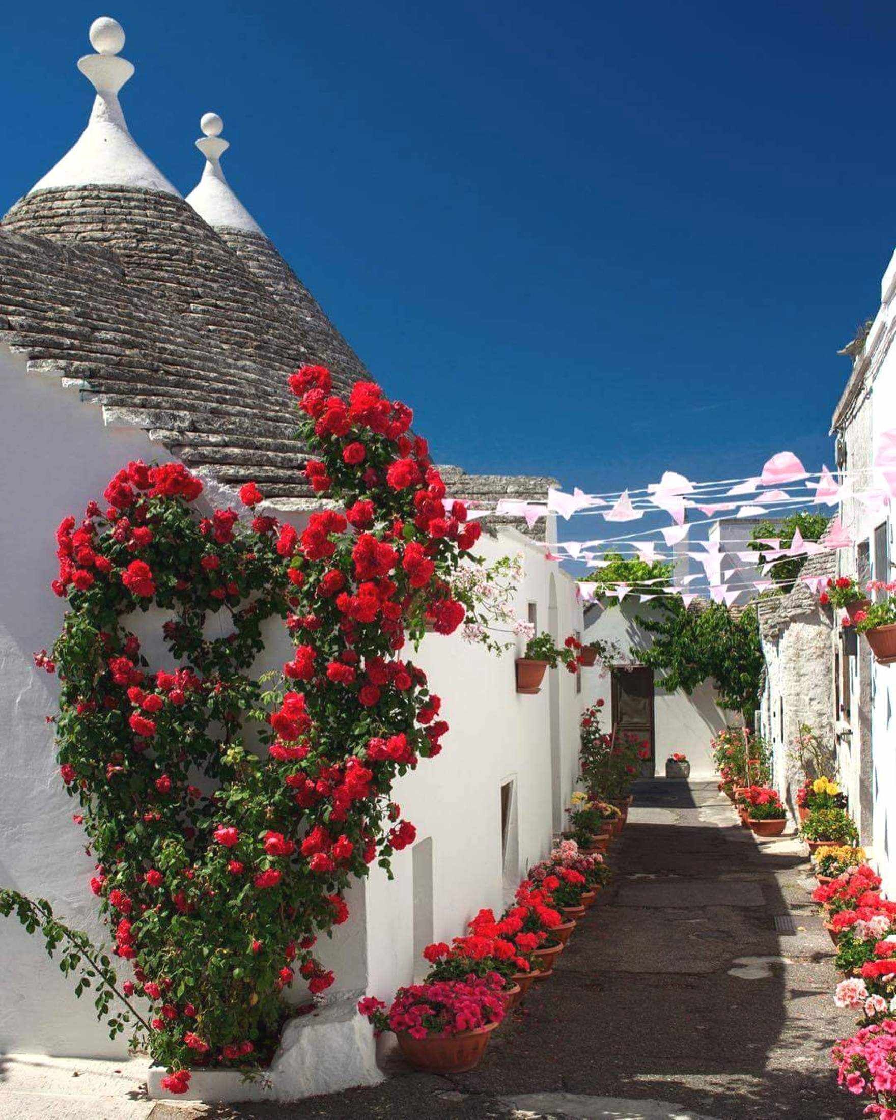 Une rue  étroite bordée de bâtiments blancs, de fleurs rouges et sous un ciel d’un bleu limpide.