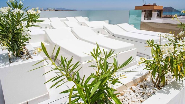 A rooftop terrace with white lounge chairs, white flowers, and a clear view of the sea. - Hotel Vacanzy Urban Boutique - Adults Only (La Oliva)