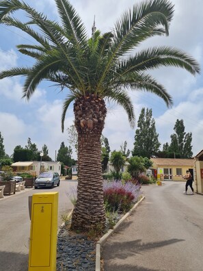 Overnattingsstedets uteområder