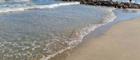 بالقرب من الشاطئ