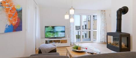 Télévision, cheminée, chaîne hi-fi