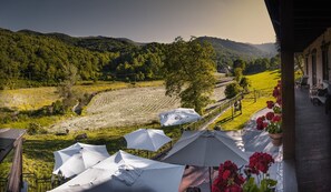 Superior tweepersoonskamer | Luchtfoto