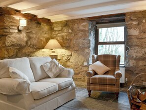 TV, fireplace - 3 bedroom accommodation in Trefriw, near Llanrwst (Trefriw, near Llanrwst)