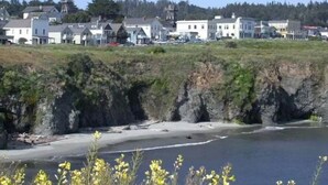 Une ville côtière avec des immeubles résidentiels, une plage et des falaises.