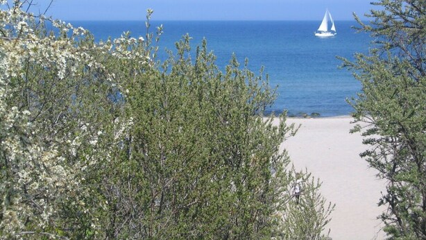 A beach with a sailboat on the water, surrounded by greenery. - Luxurious apartment for 4 persons with parking directly in front of the terrace (Kühlungsborn-West)