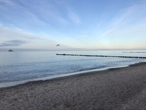 Une plage avec un rivage sablonneux, une eau calme et un navire visible au loin.