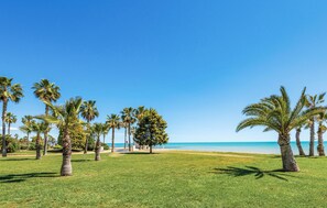 Vlak bij het strand, vissen