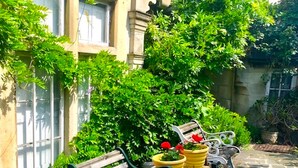 A stone-paved patio with a wooden bench and two potted plants with red flowers.