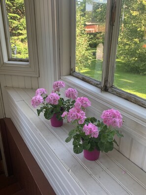 Terrace/patio - Wanhan Apteekin Majatalo (Savonlinna)