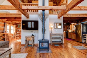 Smart TV, fireplace, books