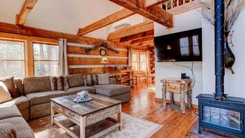 Smart TV, fireplace, books