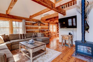 TV connectée, cheminée, livres