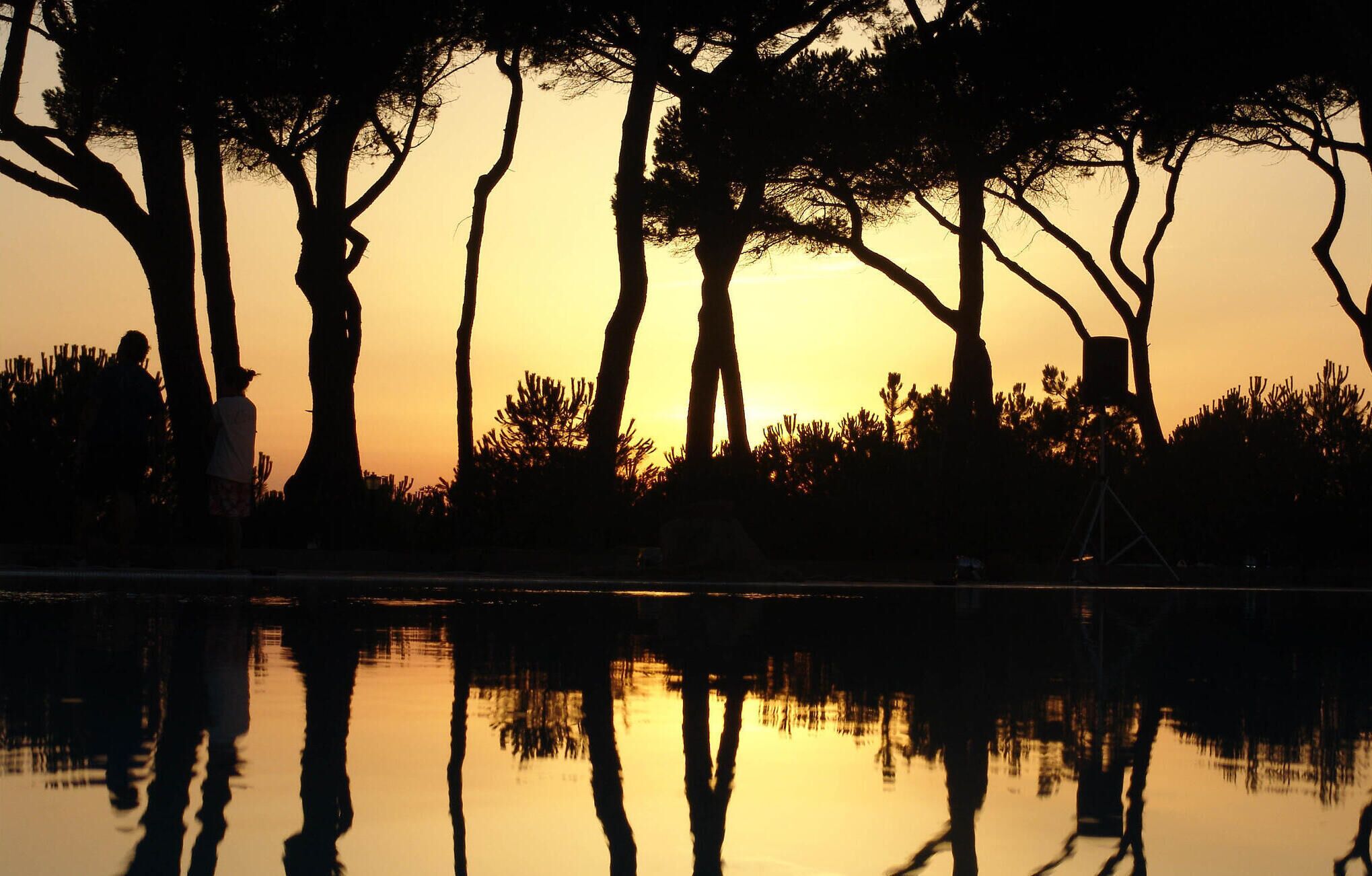 La silhouette d’arbres se découpant sur le ciel au coucher du soleil, et la surface calme de l’eau qui reflète le ciel.