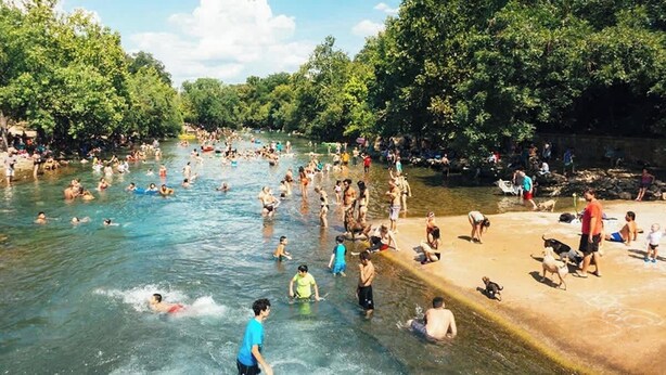 Ein belebtes Schwimmgebiet im Freien mit Menschen und Hunden, umgeben von Bäumen.