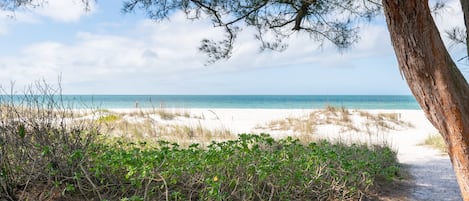 Playa en los alrededores