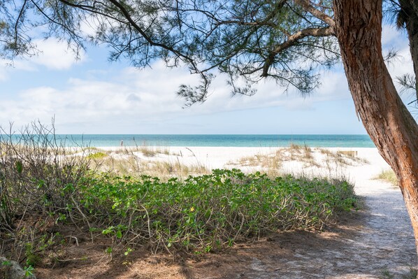 Beach nearby - SS Salamander North | Steps to the Beach + Heated Pool (Holmes Beach)