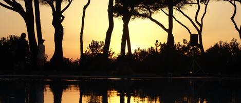 منوع