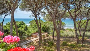 Un jardin situé sur la côte, avec des arbres, un sentier et une vue sur la mer.