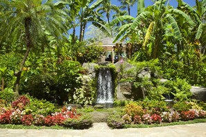 Escape to a serene oasis surrounded by lush tropical gardens and a soothing waterfall.