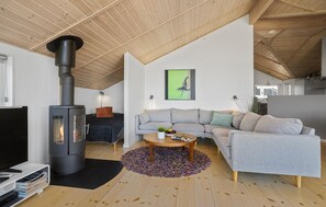 Een open haard en een dvd-speler