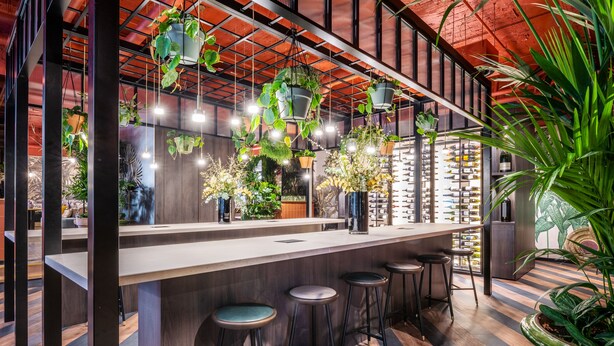 Een moderne bar met een houten vloer, hangende planten en een toog met krukken.