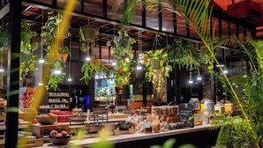 Een restaurant met hangplanten, diverse gerechten op de toonbank en een modern interieur.